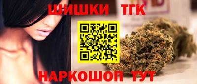 дживик Камышлов