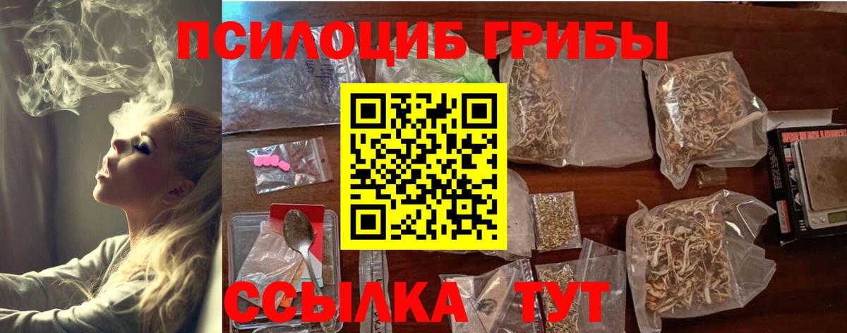 Кашира  Псилоцибиновые грибы GOLDEN TEACHER  купить   Вход с VPN 
